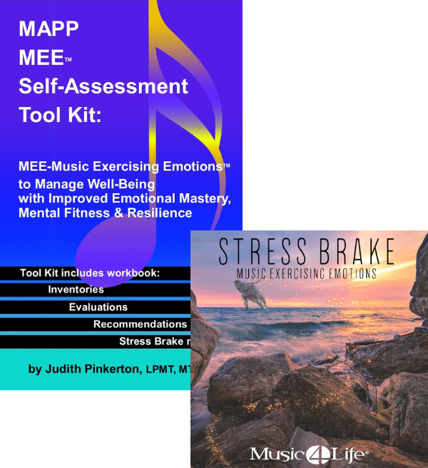 mapp mee self assessment tool kit stress brake